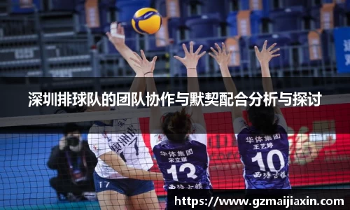 深圳排球队的团队协作与默契配合分析与探讨